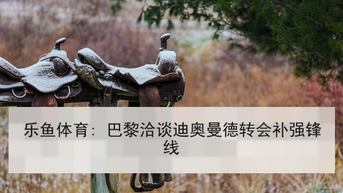 乐鱼体育: 巴黎洽谈迪奥曼德转会补强锋线 乐鱼体育: 巴黎洽谈迪奥曼德转会补强锋线