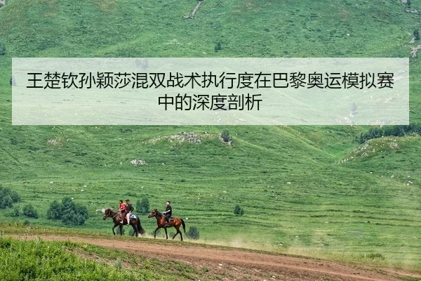 王楚钦孙颖莎混双战术执行度在巴黎奥运模拟赛中的深度剖析