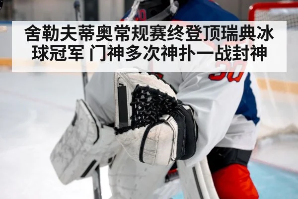 舍勒夫蒂奥常规赛终登顶瑞典冰球冠军 门神多次神扑一战封神
