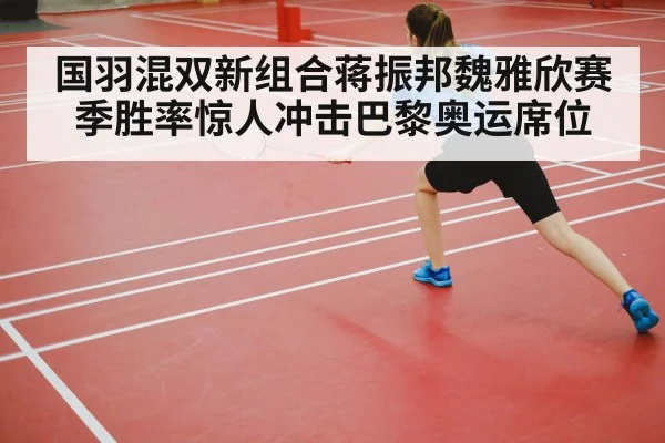 badminton court competition