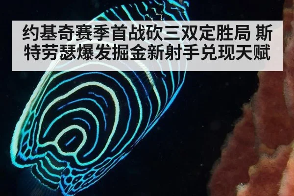 约基奇赛季首战砍三双定胜局 斯特劳瑟爆发掘金新射手兑现天赋
