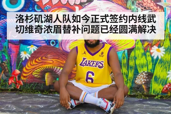 洛杉矶湖人队如今正式签约内线武切维奇浓眉替补问题已经圆满解决
